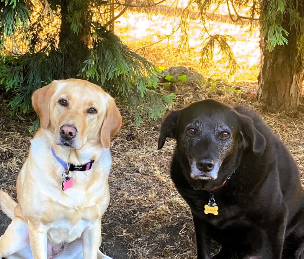 Mia and Sully Michelman